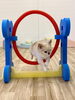 絆くんジャンプ「ましゅまろ幼稚園🐾」