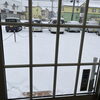 「雪ですね」