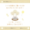 「”トイレットロールの日”キャンペーンについて🧻⭐️」