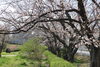 大蔵池公園