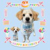 「Dog salon mofu mofu　余市町」