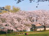 沓掛城址公園