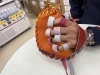 スタッフのイチオシ！！ATOMS（アトムズ）キャッチターゲット
