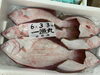 「鮮魚パックいろいろ販売中‼️〆鯖も販売致します🐳」