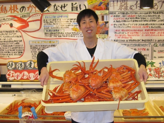 お買い得！　浜ゆで　紅ずわいがに「【松葉がに】境港産 松葉がに  紅ずわいがに　入荷しています。」