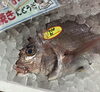 「魚魚市場鮮魚コーナーおすすめは「地タコ」です♪」