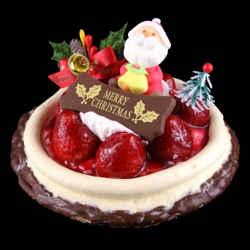 まいぷれ宮崎クリスマス プレゼントのご紹介 クリスマスケーキ まいぷれ宮崎編集部のニュース まいぷれ 宮崎 まいぷれ宮崎クリスマス プレゼントのご紹介 クリスマスケーキ まいぷれ宮崎編集部のニュース まいぷれ 宮崎