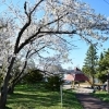 平磯公園