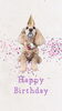 「Dog salon mofu mofu　余市町」