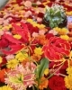 小樽住吉神社の花手水「Good morning Otaru! 」