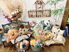 トイ類全品10%off❣️「ドッググッズショップ＆サロンDankeの🎄Xmas fair💫のお知らせ📣‼️」