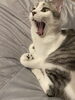 わ「奇跡的に撮れたるい君の=^._.^= ∫」