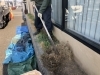 作業前 / 芝や宿根草類が植っていました「川西市でコニファーの植栽工事をしました！」