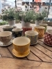 植木鉢「新商品入荷！」