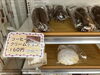 「チョコパンフェア開催中  【石狩のパン屋 こむぎっこ】」