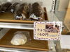 「チョコパンフェア開催中  【石狩のパン屋 こむぎっこ】」