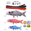 新作！『春びより』1.5m 鯉吹のみセット