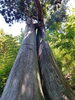 「白川町の大山白山神社を訪ねて」