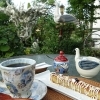 GALLERY CAFE STORK（ギャラリーカフェストーク）