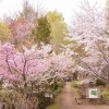 長橋なえぼ公園