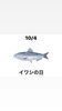 10/4 イワシの日「10月4日日曜日『イワシの日』です。本日のおすすめmenu✨揚げたてサックサクのプリプリ・えびフライ定食……950円……4本入です。漁協の食堂でお魚ランチはいかがでしょうか？OPEN.am.11:00~」