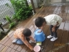 音が違うよ「市内幼稚園交流＆梅雨期ならではの…☔」