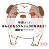SOS「ブルドックになりそう！愛さん助けて！」