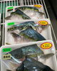 「本日鮮魚入荷中です！[岩牡蠣は７月から販売致します。]」