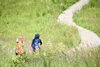 入笠湿原の木道「非日常を感じるひととき」