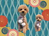 「Dog salon mofu mofu　余市町」