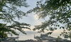 「Good morning Otaru!  小樽の古民家ゲストハウスより」