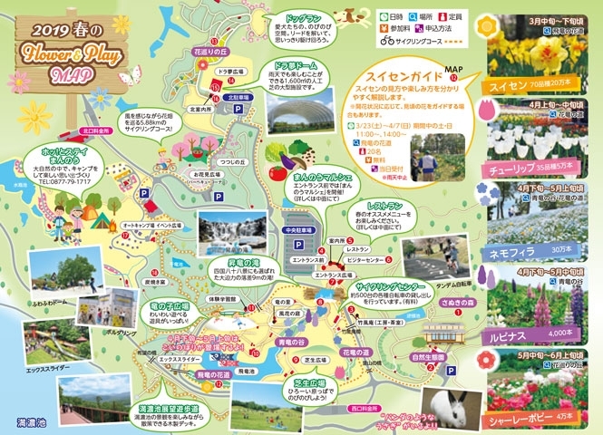 国営讃岐まんのう公園 春らんまんフェスタ 四国内のイベント情報 まいぷれ 新居浜市 国営讃岐まんのう公園 春らんまんフェスタ 四国内のイベント情報 まいぷれ 新居浜市