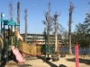 大塚池公園 水戸の観光 名所 名物を巡ってみよう まいぷれ 水戸市