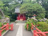 厳島神社「茅の輪くぐり～三嶋大社～」