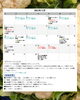 12月カレンダー「🎄宮崎 12月料理教室のご案内｜キムチ作り・味噌作り・オーブン料理【予約受付中】」