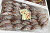 「魚魚市場鮮魚コーナーおすすめは「ヨコスジフエダイ」です♪」