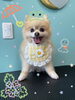 「可愛い子ちゃん♡Dog salon mofu mofu 余市町」