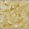 低農薬　有機栽培　コシヒカリ　５分づき米　5ｋｇ