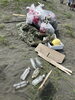 集まったゴミ「ブルーサンタ/静岡/熱帯魚/水槽レンタル/島田市/癒し/内装」