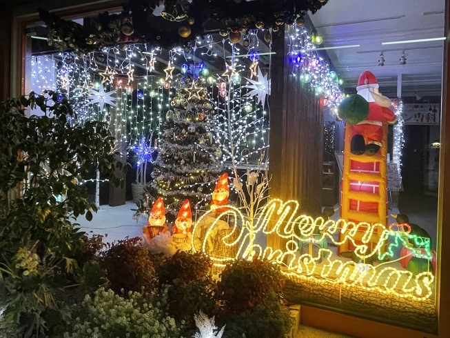 岩国店のクリスマスイルミネーション「クリスマスフェア、開催中～！！」