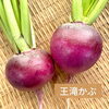 王滝かぶ「オリジナルのかぶ漬けを作ってみませんか？」