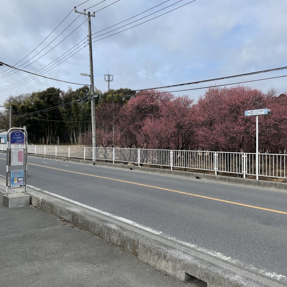 伊奈町のとある街道を通るたびに鉄人が増えている件(埼玉県北足立郡伊奈町)