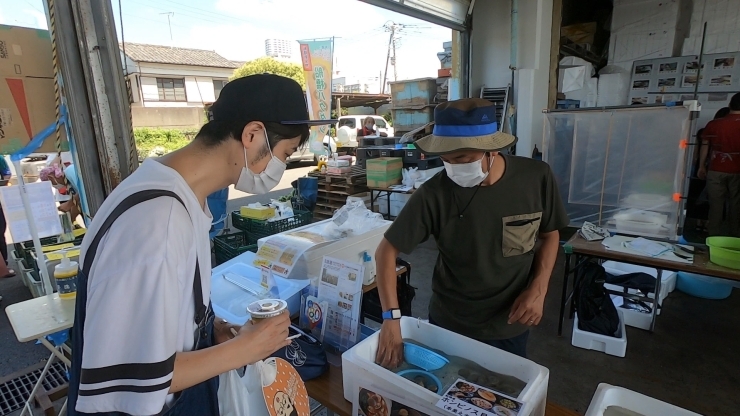 「船橋漁港の朝市が再開！ついつい爆買い状態になりました！」