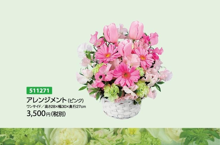 2月の誕生花 チューリップ 花キューピット富山支部のニュース まいぷれ 魚津市 2月の誕生花 チューリップ 花キューピット富山支部のニュース まいぷれ 魚津市