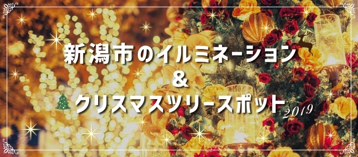新潟市のイルミネーション クリスマスツリー情報19 新潟市のおでかけ情報まとめ まいぷれ 新潟市