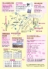 「第20回御殿場 桜まつり」