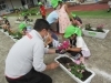 コメリ花植え教室がありました 行方市立麻生幼稚園のニュース なめがた日和 行方市