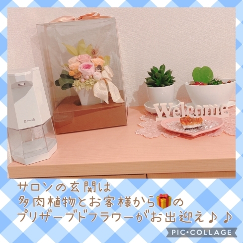 お友達の家に行くように♡気軽通えるエステサロン♬︎「出雲市上塩冶町のエステサロンMerci☆マツエクご予約受付開始‼️」