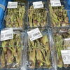 「地元 木曽産『タラの芽』入荷しました！」