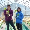 【第7弾】鉾田市×タイミートラベル！　鉾田の恵みを未来へつなぐ！ いちごとメロンの農業体験